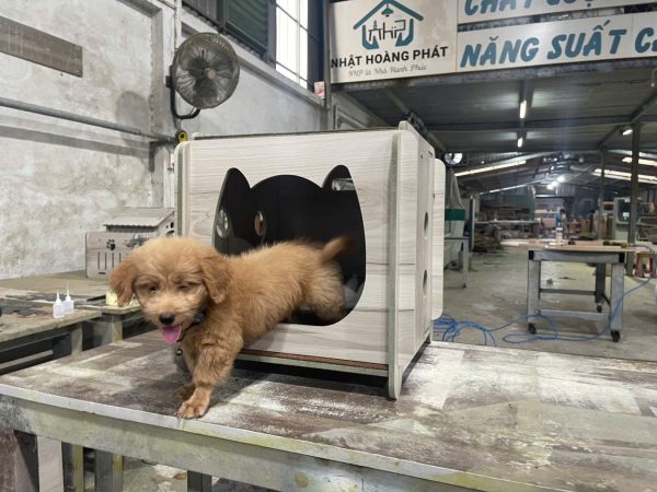 chuồng gỗ chó mèo