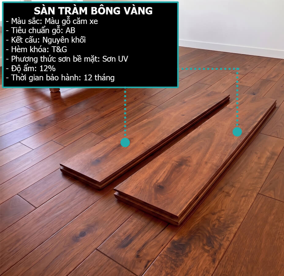 Sàn Gỗ Tự Nhiên Sơn Màu Căm Xe VS.NHP.TBV 003
