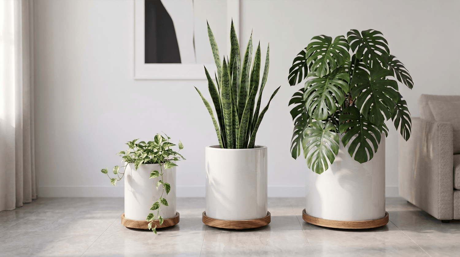 lót gỗ kê chậu cây